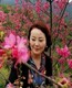 国色天香