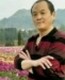 寻梦缘